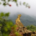 苏州植物园