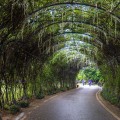 苏州植物园