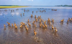 洞庭秋波踏浪行