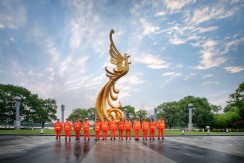 美丽凤凰守护者