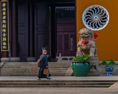 《青衿入山门》