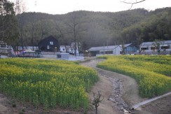 繁昌区峨山的春天