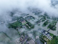 秀美沙家滨