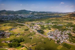 梅冲美景
