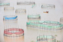 鹅湾渔歌