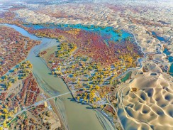 《罗布淖尔湿地：沙漠中的生态绿洲》