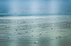 大闸蟹养殖基地