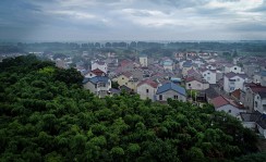 郁郁葱葱南墅村