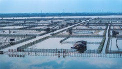 《水泊织网》
