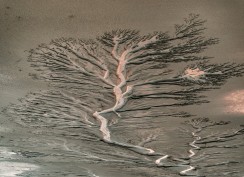 湿地潮汐画，拍摄于条子泥湿地，钱塘江湿地，黄河入海.....