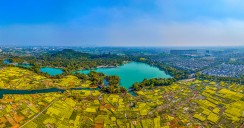 花田织锦映湖山