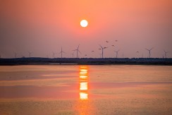 《夕照滩涂》
