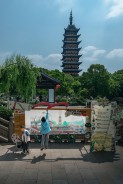 青春共绘