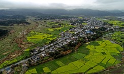 山乡春早