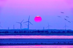 《夕阳如画》