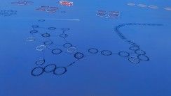 《海上圆舞曲》