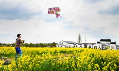 《放飞春天里》