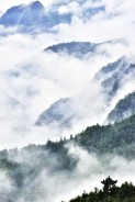 《雾起陈峭》