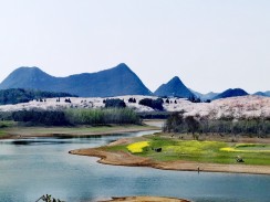 湖光山色春日景