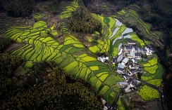 花满山村