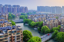张浦镇风光