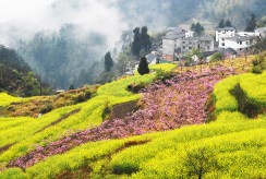 山村一景