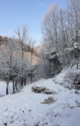 山林雪景