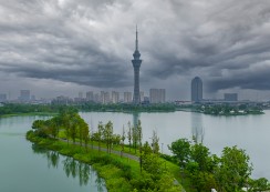 琴湖风云