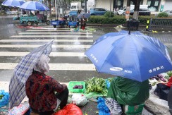 雨中的守候