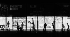 《篮球馆里的热血剪影》