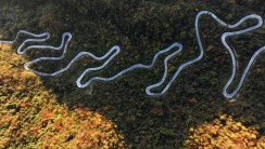 山舞银蛇