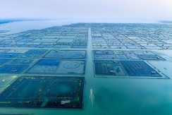 湖上人家
