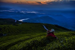 茶山与远方