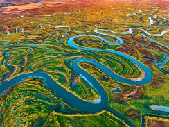 《挠力河湿地：三江平原的生态明珠》