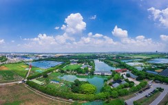 蓝天下的牧谷农场