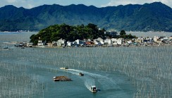 山海沙江