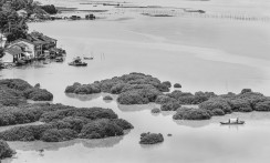 水墨鹅湾