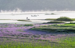 千岛湖晨曦