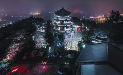 《天马山雪景》_副本