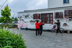 《江南巷陌的晚年欢舞》