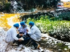 雪野中的生命守护