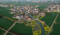 《美丽乡村》