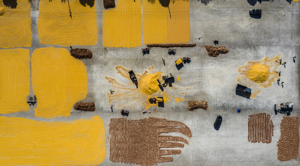 双周争胜17期“乡村”征稿