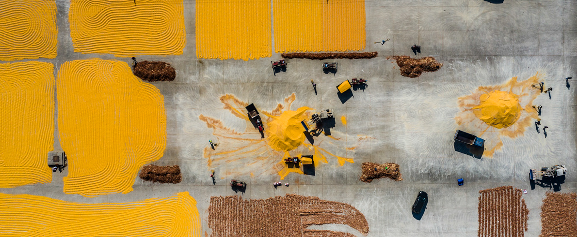 双周争胜17期“乡村”征稿