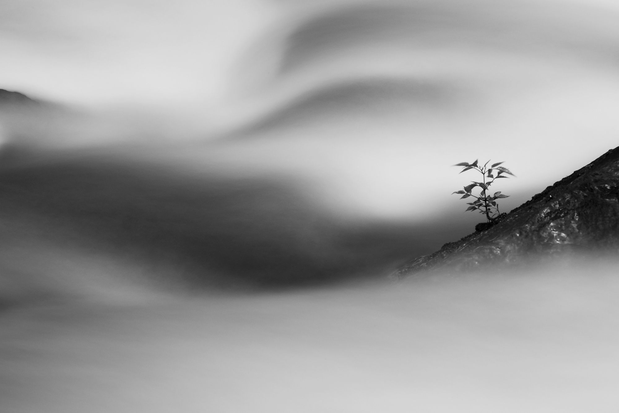 dda465ce5855b3efbd1fae4b8f0f6281.jpg